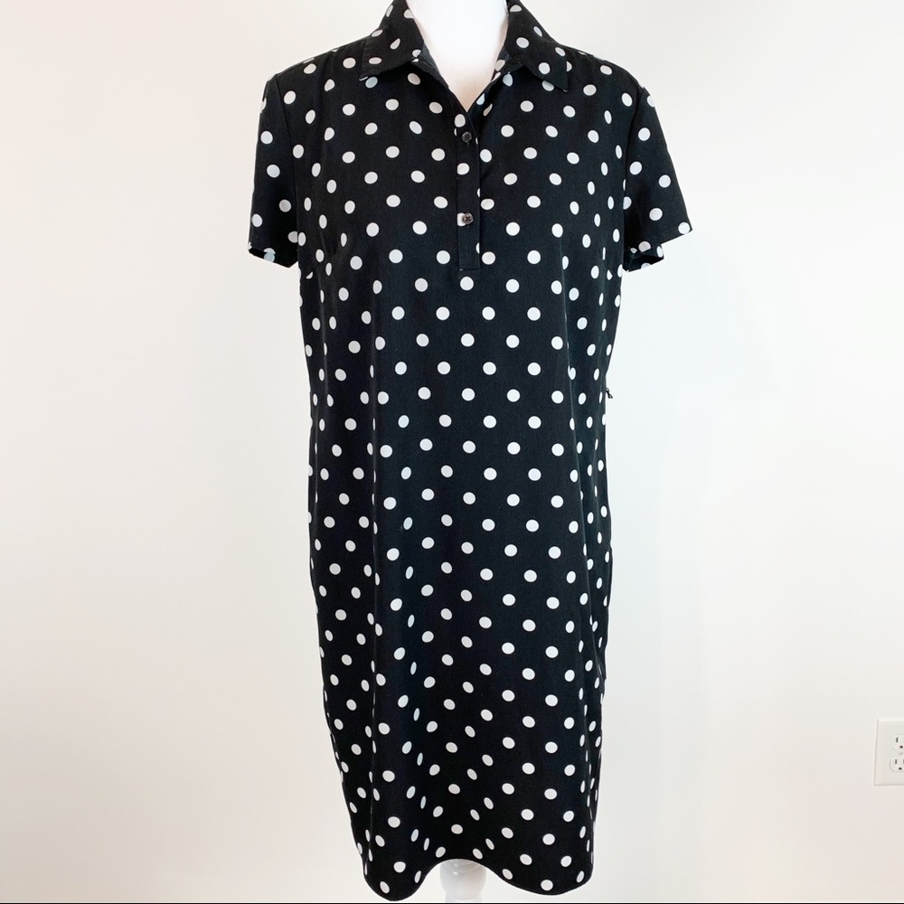 Ann Taylor short sleeve polka dot shirtdress